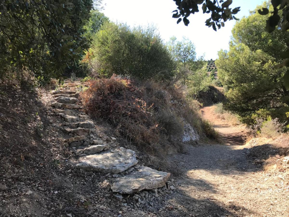 Studio Views Apartment, Cortijo Fruitful Hills Μάλαγα Εξωτερικό φωτογραφία