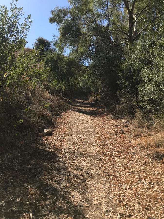 Studio Views Apartment, Cortijo Fruitful Hills Μάλαγα Εξωτερικό φωτογραφία